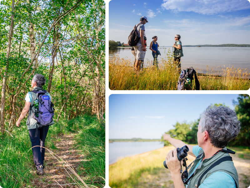 Balades nature de Sainte-Eulalie-en-Born