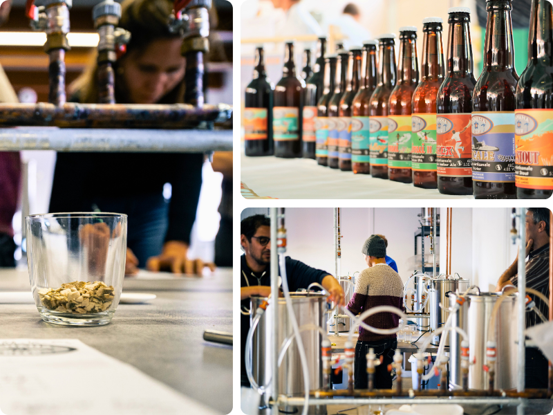 La brasserie artisanale de Biscarrosse dans les Landes