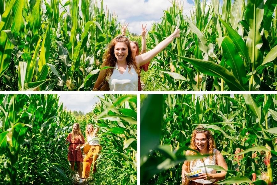 labyrinthe mais enigmes