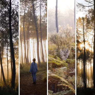 Notre top des photos de l'Automne