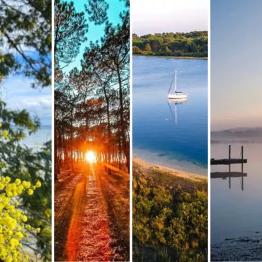 Le top des photos de l'Hiver