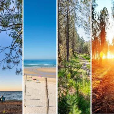 Notre top des photos du Printemps 