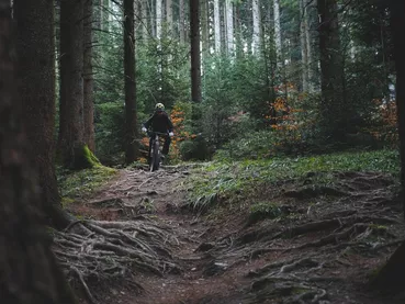 trail-velo