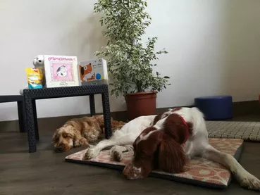 438328748_1026754698869959_6958179892273268771_n