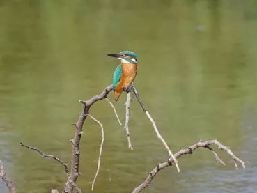 ©Catherine Kwasniewski