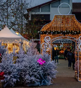 À Noël, offrez une expérience ! 🎁