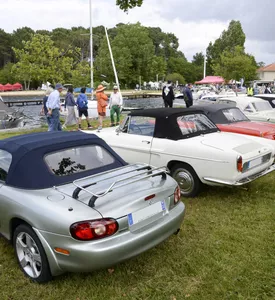 gemme-les-belles-anciennes-sanguinet-2