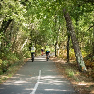 Les Grands Lacs à vélo jusqu'aux arènes de Parentis-en-Born
