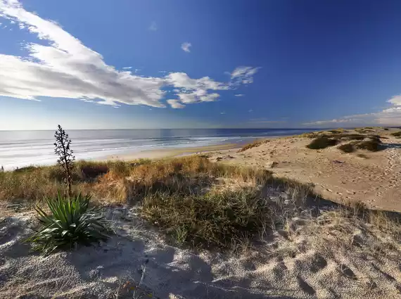 Un litoral salvaje entre playas y dunas