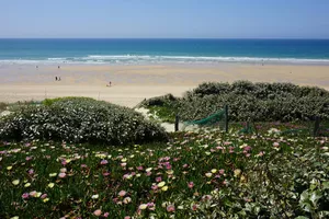 BISCARROSSE PLAGE - printemps - fleurs
