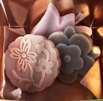 Le Sangui'nettoie Dalbos &Co -Coffret Fantaisie