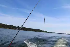 pêche-en-eau-douce3-grands-lacs-landes