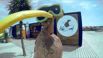 kiwi-surf-bisca