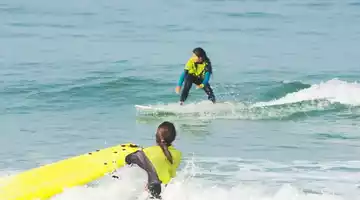 kiwi-surf-printemps