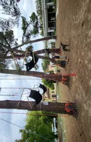 Grimpe dans les arbres 3