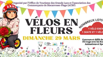 Vélos en Fleurs Entrée de Ville