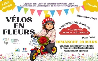 Vélos en fleurs Ecrans Digitaux (672 x 420 px)