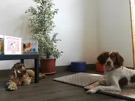 441358788_1856729414850860_4170196979492845776_n