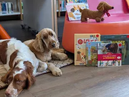 491013528_1734606384118808_3691755271157558922_n