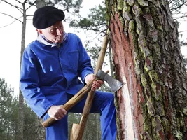 1-resiniers-bisca-foret