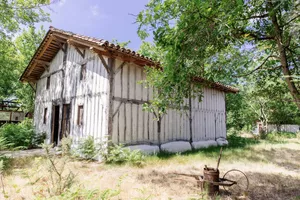 5-gemmage-bisca-grands-lacs-les-conteurs-38