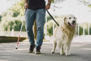 Sensibilisation déficience visuelle et chiens guides