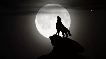 Loup-Garou de Thiercelieux - ados