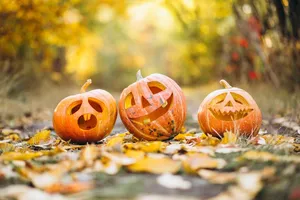 Parentis fête Halloween : à vos citrouilles !