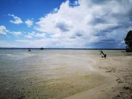 MILHORAT DUPUY 22 pu blanc 2