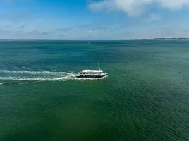 Navigation sur le Bassin